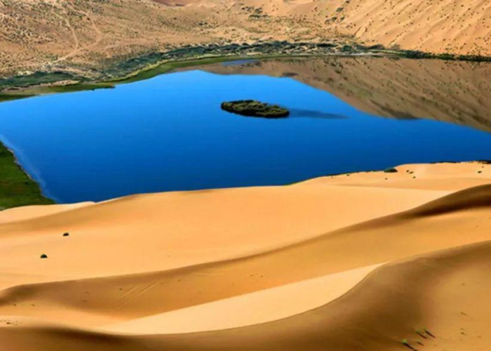 秒懂教程“炸 金花链接创建房间怎么弄”详细房卡使用教程 秒懂教程“炸 金花链接创建房间怎么弄”详细房卡使用教程