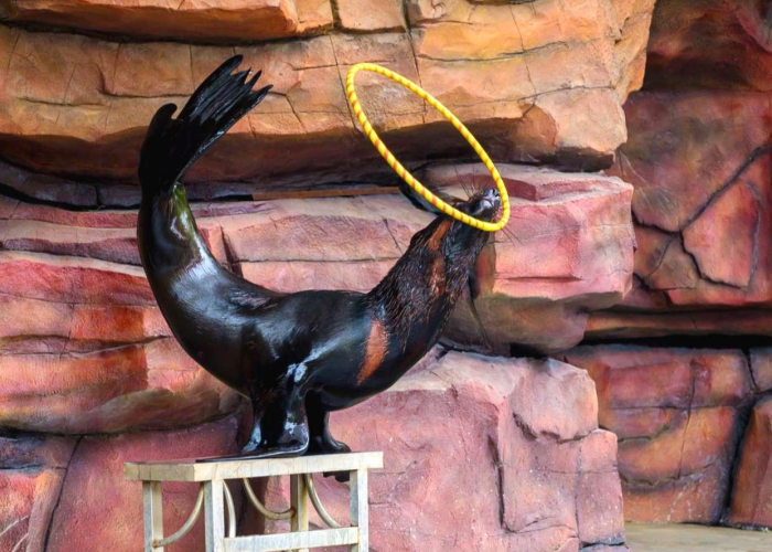 五一连休5天,拼假有方,巧用三天免费攻略,玩转性价比假期 五一连休5天,拼假有方,巧用三天免费攻略,玩转性价比假期