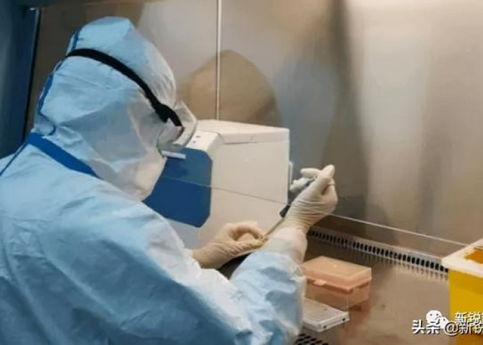 核酸检测结果查询阳性,面对现实、科学应对与心理调适的全方位指南 核酸检测结果查询阳性,面对现实、科学应对与心理调适的全方位指南