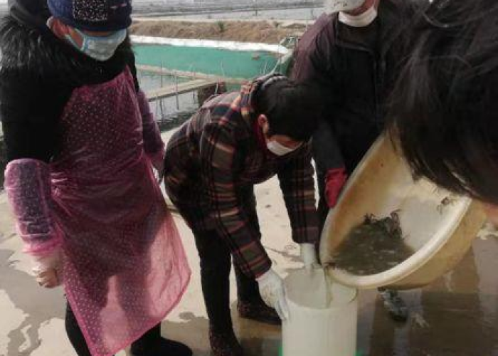 房卡全攻略“随意玩房卡怎么弄”轻松获取房卡全渠道 房卡全攻略“随意玩房卡怎么弄”轻松获取房卡全渠道