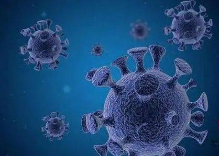 德州疫情态势趋缓,数据背后揭示长期健康管理新课题 德州疫情态势趋缓,数据背后揭示长期健康管理新课题