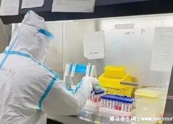 舒兰发布,一座小城的创新之声与时代回响 舒兰发布,一座小城的创新之声与时代回响