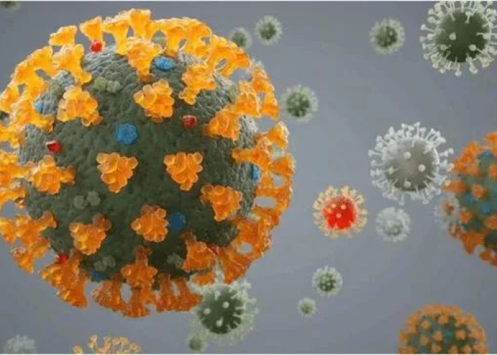 北京博爱医院疫情现状深度解析，真实情况究竟如何？