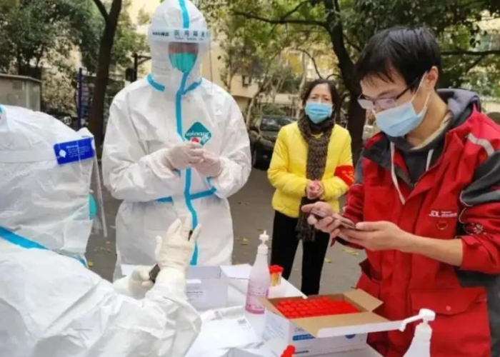 盘锦圣女果,红宝石般的北国馈赠,舌尖上的自然奇迹 盘锦圣女果,红宝石般的北国馈赠,舌尖上的自然奇迹