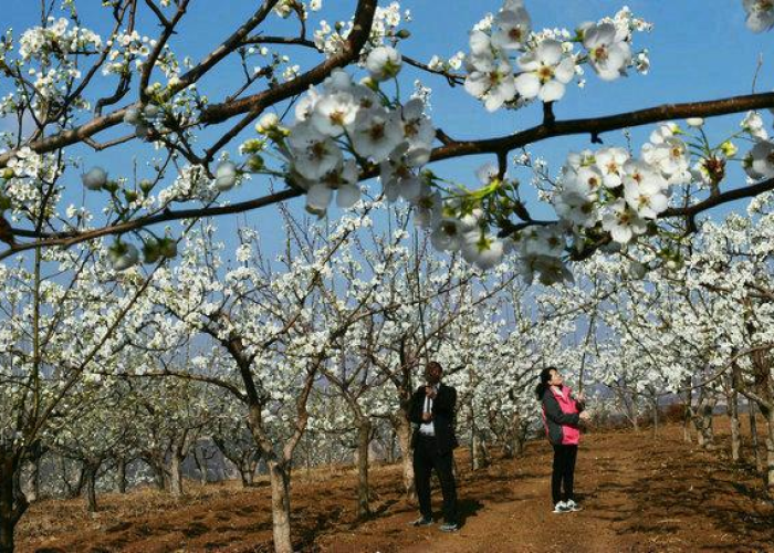 给大家讲解“微信怎么炸 金花自建房间步骤”获取房卡教程-哔哩哔哩 给大家讲解“微信怎么炸 金花自建房间步骤”获取房卡教程-哔哩哔哩