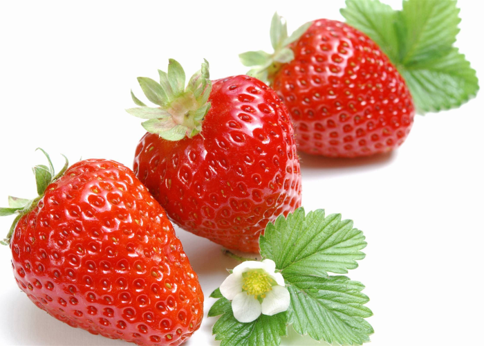 秒懂教程“微信里斗牛的房卡哪里买”详细房卡教程 秒懂教程“微信里斗牛的房卡哪里买”详细房卡教程