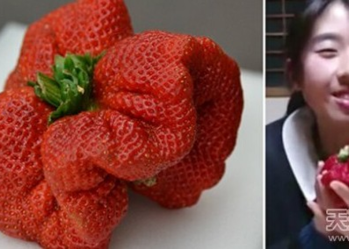 一分钟介绍使用“微信牛牛房卡如何购买”获取房卡教程-哔哩哔哩