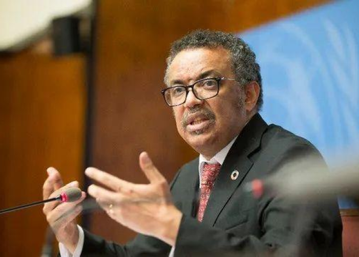 浙江新增两所大学,高等教育版图再升级,赋能区域发展新篇章 浙江新增两所大学,高等教育版图再升级,赋能区域发展新篇章