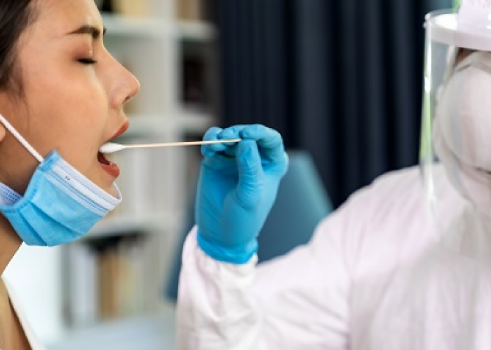 南京禄口国际机场迎来新突破,多条国际航线密集增复,重塑区域航空枢纽新格局 南京禄口国际机场迎来新突破,多条国际航线密集增复,重塑区域航空枢纽新格局