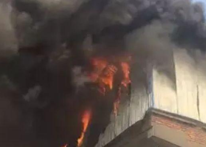 廊坊疫情公告,从信息窗口透视一座城市的战疫脉搏与治理温度 廊坊疫情公告,从信息窗口透视一座城市的战疫脉搏与治理温度