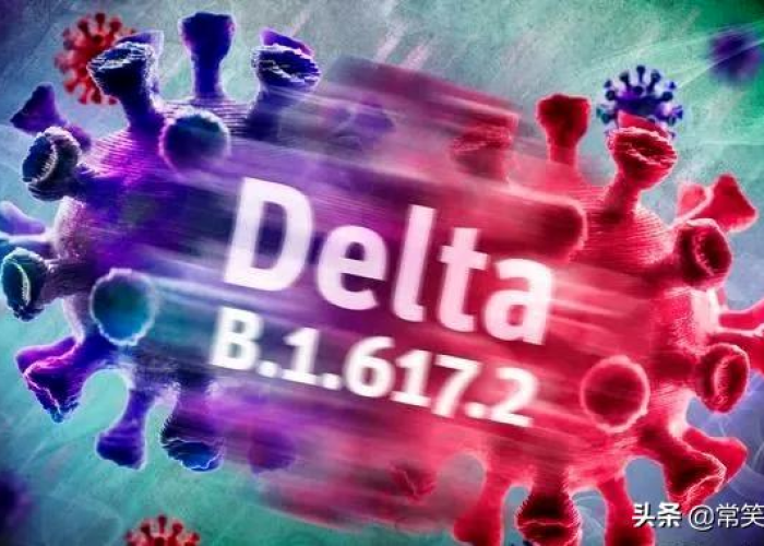 全球新冠毒株，变异、传播与人类应对的博弈