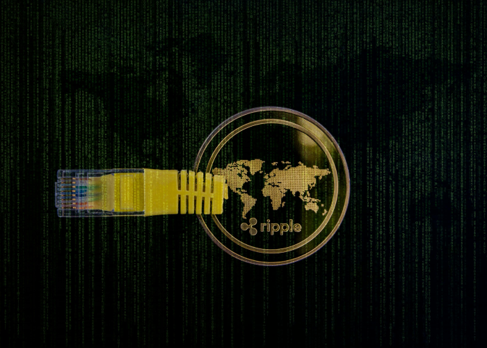 郑州红码事件,一场数字时代的权力与权利博弈 郑州红码事件,一场数字时代的权力与权利博弈