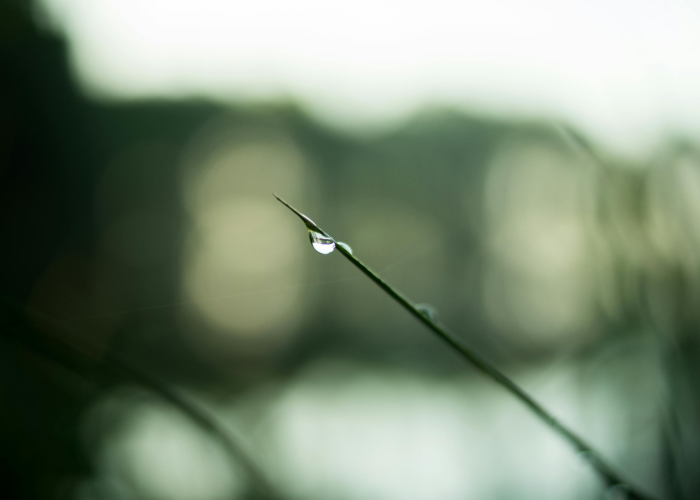 大春是哪天,解密节气密码与时间哲学的千年叩问 大春是哪天,解密节气密码与时间哲学的千年叩问