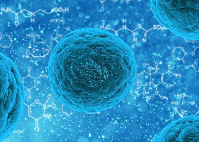 全攻略普及“微信牛牛怎么自建房间”详细房卡使用教程 全攻略普及“微信牛牛怎么自建房间”详细房卡使用教程