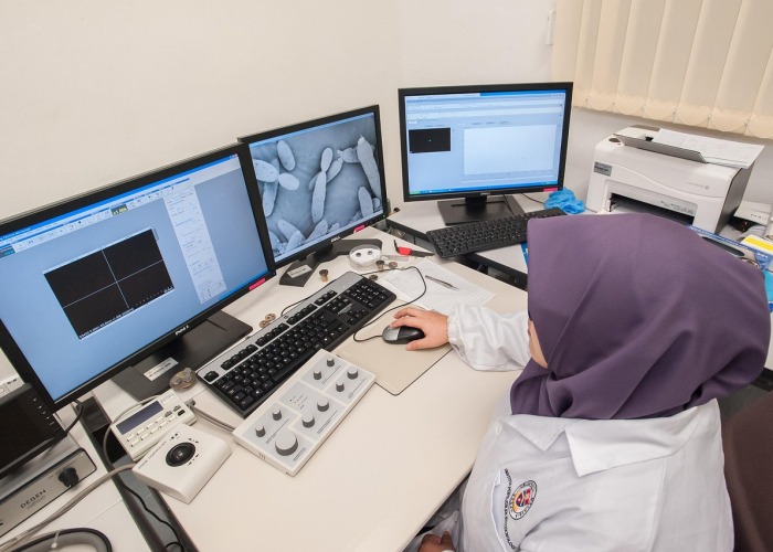 一分钟介绍使用“微信牛牛怎么自建房间”房卡获取方式 一分钟介绍使用“微信牛牛怎么自建房间”房卡获取方式