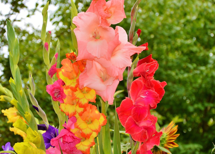 秒懂百科“新天道牛牛房卡”房卡链接获取 秒懂百科“新天道牛牛房卡”房卡链接获取