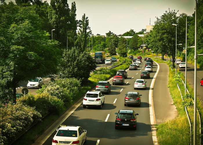未雨绸缪，守护健康—聚焦淄博疾控最新防疫提醒，构筑今冬明春坚实防线