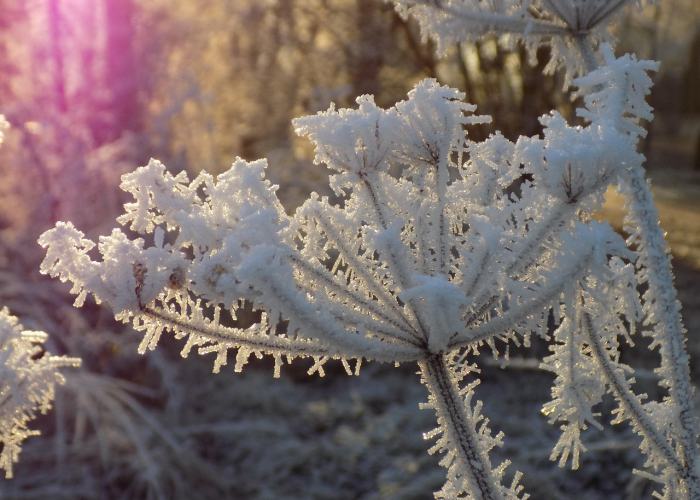 上海最新疫情通报,精准防控下的城市韧性与应对策略 上海最新疫情通报,精准防控下的城市韧性与应对策略