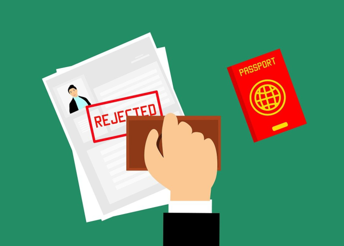 印度入境指南,从签证到文化适应的全方位解析 印度入境指南,从签证到文化适应的全方位解析