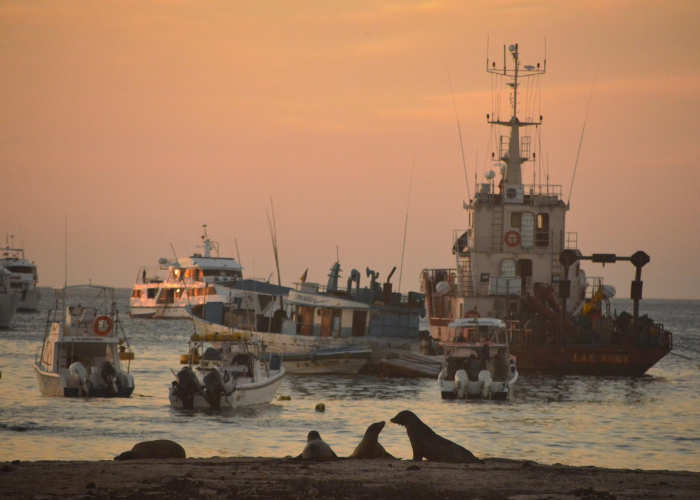 辽宁再响防疫警钟,两例本土确诊背后的防控新思考 辽宁再响防疫警钟,两例本土确诊背后的防控新思考