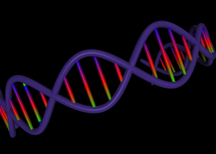 单基因病是什么意思？深入解析遗传密码中的隐形炸弹