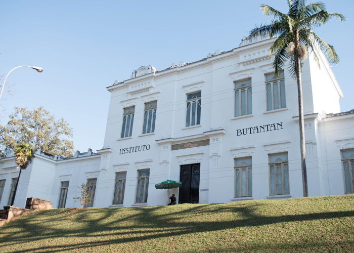 世卫组织传出疫情新动态，全球健康治理的挑战与机遇