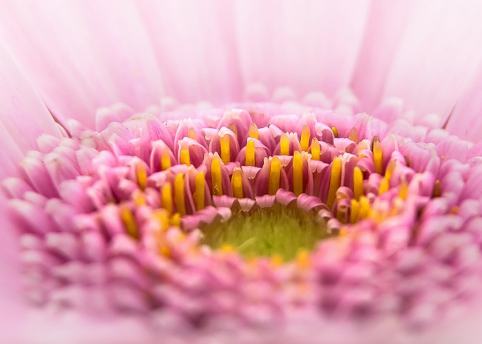 河北突发本土疫情,壹肆例确诊与叁0例无症状背后的防控新挑战 河北突发本土疫情,壹肆例确诊与叁0例无症状背后的防控新挑战