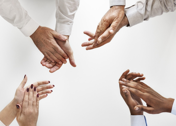 H柒N玖禽流感病毒今日动态，沉寂后的风险评估与全球公共卫生协作新观察