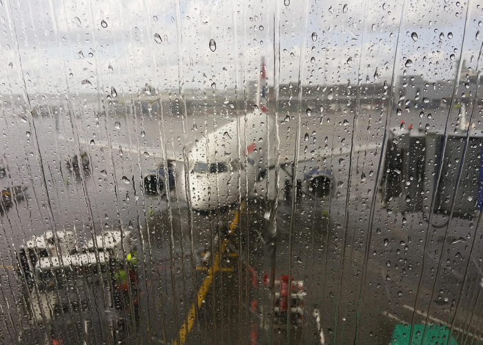 深圳布吉疫情下的婚礼，爱与坚守的动人篇章