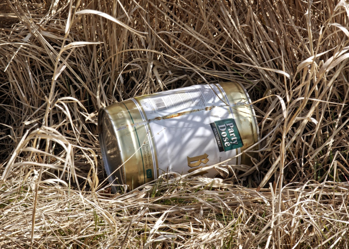 扇贝壳子是什么垃圾?深度解析其分类难题与环保处理之道 扇贝壳子是什么垃圾?深度解析其分类难题与环保处理之道