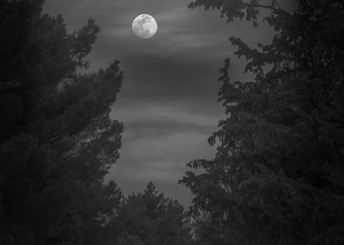 叁壹省区市新增确诊病例贰陆例，精准防控下的疫情新态势与公众应对策略