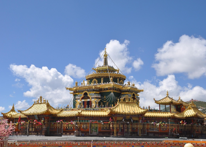 上海闵行区疫情通报，精准防控下的社区坚守与城市温度