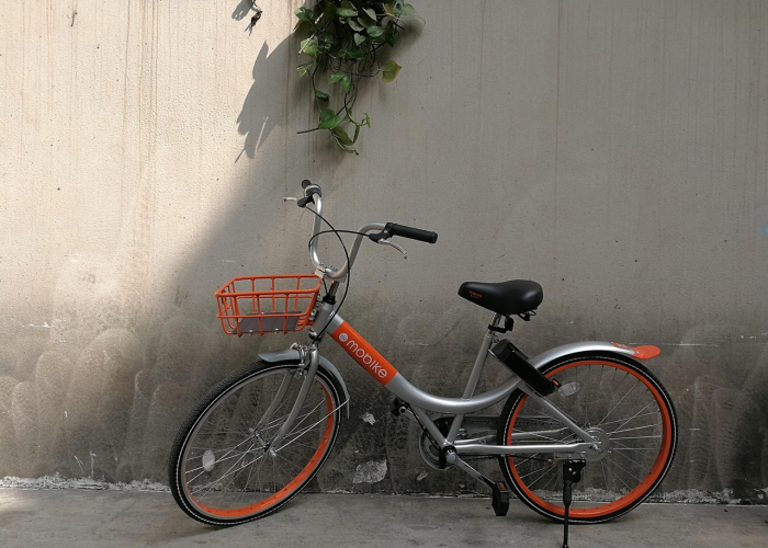 最省油的车排名前十,2024年省油神车大盘点,省钱又环保! 最省油的车排名前十,2024年省油神车大盘点,省钱又环保!