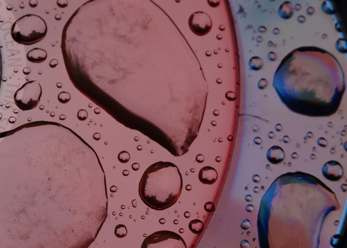 一分钟实测分享“微信牛牛房卡链接找谁买”详细房卡使用教程 一分钟实测分享“微信牛牛房卡链接找谁买”详细房卡使用教程