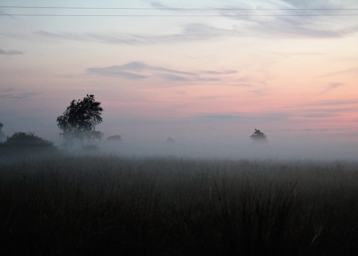 北京大雾天气图片,雾锁京城,一幅朦胧与真实的时代画卷 北京大雾天气图片,雾锁京城,一幅朦胧与真实的时代画卷
