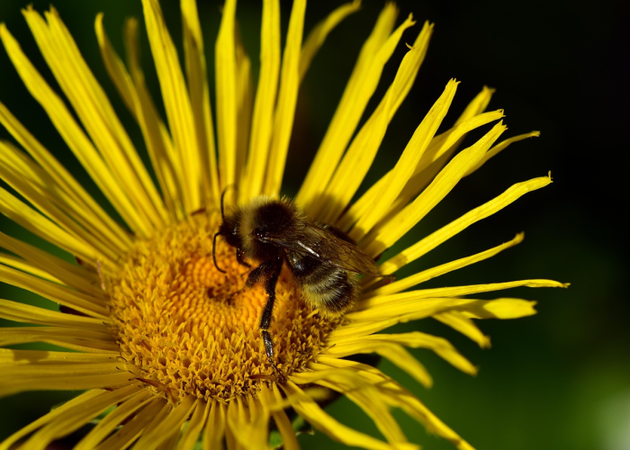 北京疫情新动态最新，精准防控下的城市韧性与民生温度