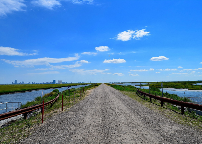 房卡全攻略“微信斗牛大厅链接房卡”获取房卡教程-哔哩哔哩