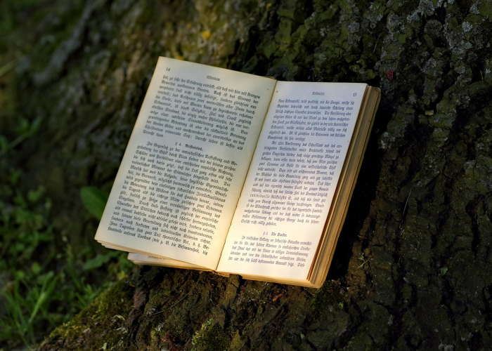 清明节假期安排解析,2022年清明节的休息天数与文化意义 清明节假期安排解析,2022年清明节的休息天数与文化意义