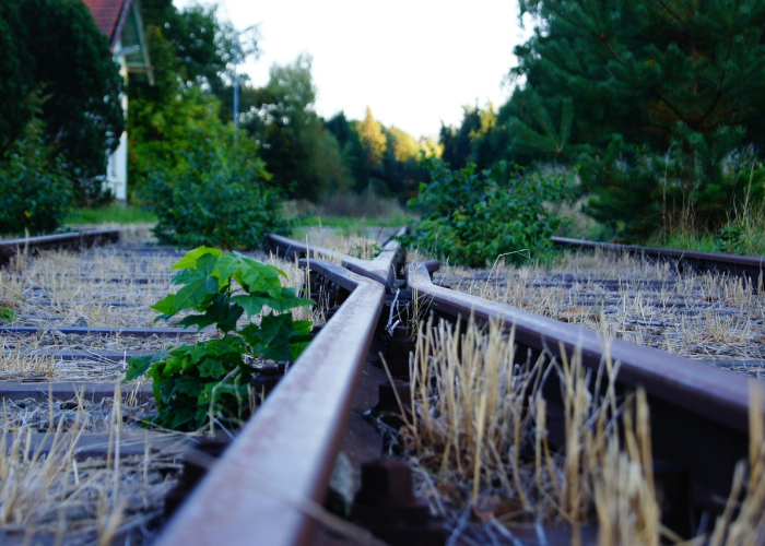 大连疫情最新动态，确诊病例轨迹深度解析与市民防护指南