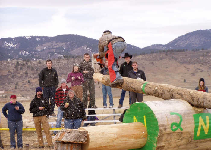 印度火化木材,传统、生态与未来的交织挑战 印度火化木材,传统、生态与未来的交织挑战