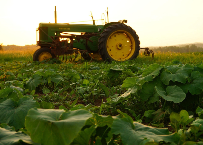 新疆新闻最新消息,丝路核心区建设提速 数字经济赋能农牧业现代化 新疆新闻最新消息,丝路核心区建设提速 数字经济赋能农牧业现代化