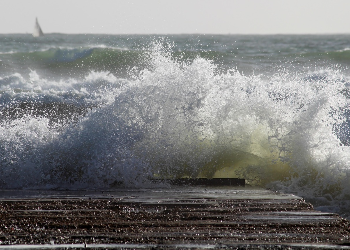 寰宇微观录,探秘地球上病毒种类的无尽之海 寰宇微观录,探秘地球上病毒种类的无尽之海