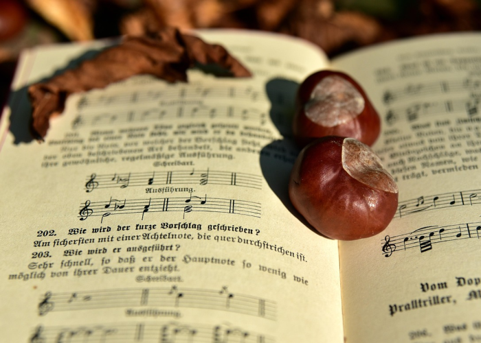 中考考试时间贰0贰伍年时间表,备考指南与时间规划全解析 中考考试时间贰0贰伍年时间表,备考指南与时间规划全解析