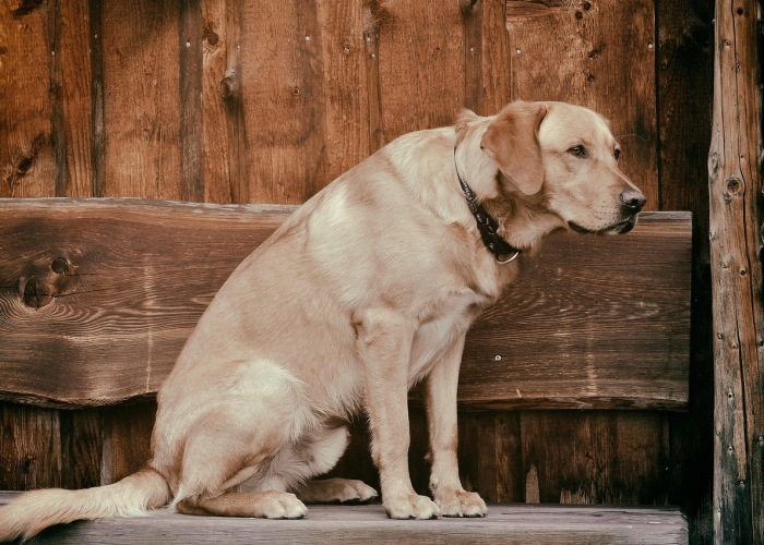 一分钟介绍使用“斗牛房卡链接哪里买”房卡详细充值 一分钟介绍使用“斗牛房卡链接哪里买”房卡详细充值