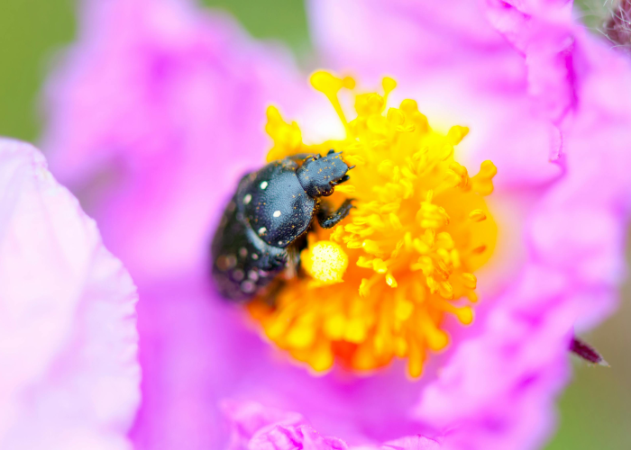 一分钟了解“15元100张房卡代理”房卡链接获取 一分钟了解“15元100张房卡代理”房卡链接获取