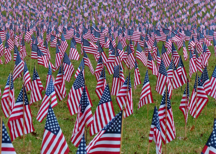 中国疫情最新通报，今日新增病例持续下降，防控措施成效显著