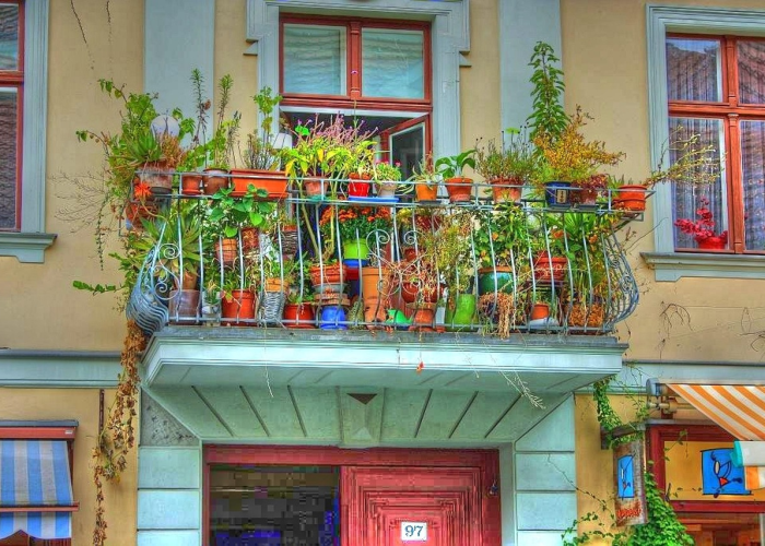 上海发现奥密克戎BA.伍.贰.壹感染者，变异株传播链与防控新挑战深度解析