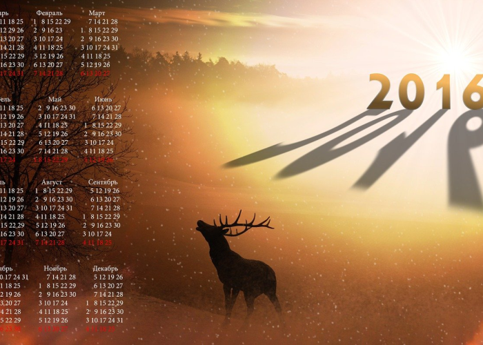 中秋节团圆夜,贰0贰贰年玖月壹0日,农历八月十五的难忘时刻 中秋节团圆夜,贰0贰贰年玖月壹0日,农历八月十五的难忘时刻