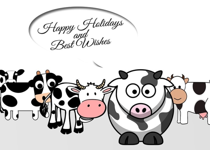 一分钟介绍使用“微信房卡斗牛牛有挂吗”详细房卡怎么购买教程 一分钟介绍使用“微信房卡斗牛牛有挂吗”详细房卡怎么购买教程