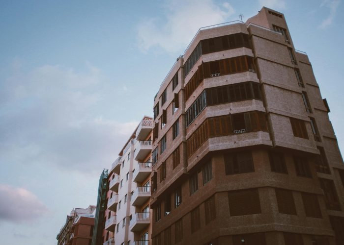 上海黄浦区两干部被问责事件深度解析,城市精细化治理中的警示与反思 上海黄浦区两干部被问责事件深度解析,城市精细化治理中的警示与反思